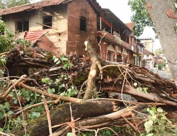 ಮಂಗಳೂರು: ವಿವಿಧೆಡೆ ಗಾಳಿ ಸಹಿತ ಭಾರಿ ಮಳೆ, ಮನೆ, ಬೈಕ್ ಗೆ ಹಾನಿ