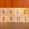 ಎಸ್ ಎಸ್ ಎಲ್ ಸಿ